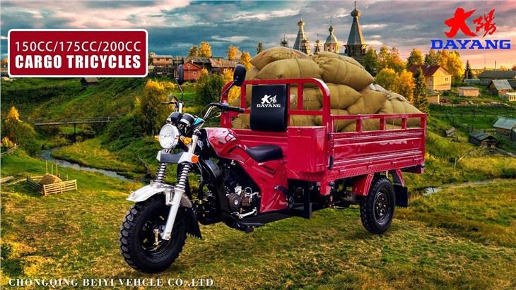 adult cargo gasoline motorized  tricycle CCC