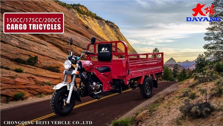 adult cargo gasoline motorized  tricycle China