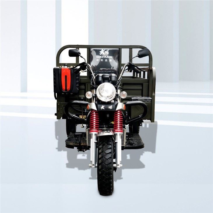 direct sale Petrol 200CC Cargo Tricycle