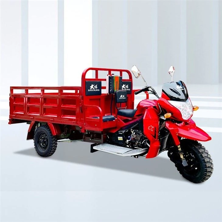 300cc Carga Moto Triċiklu