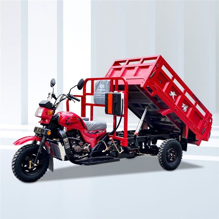 Moto Trois De Carga