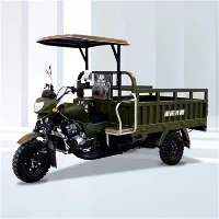 DY-H7 Afrika Hot Bejgħ U Popolari Cargo Tricycle