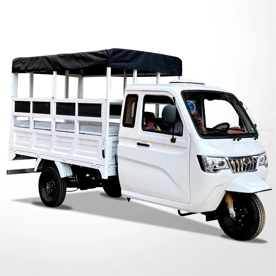 250cc 300cc 350cc Gasoline Petrol Three Wheeler Carguero Triciclo