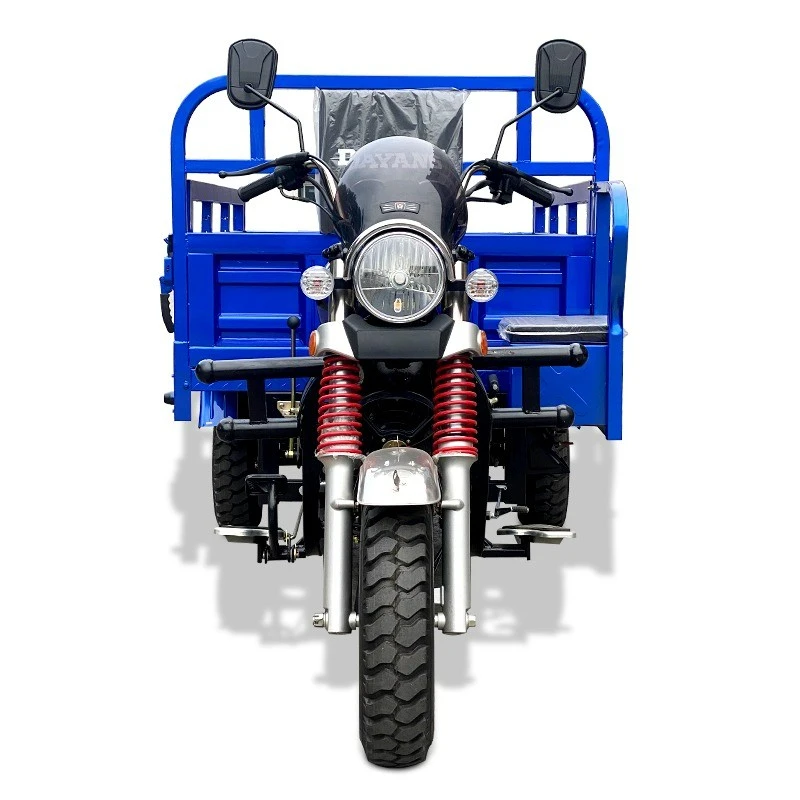 Gasoline Cargo Tricycle/Three Wheel Motorcycle