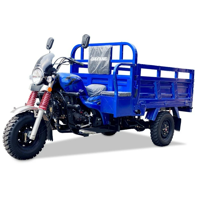 Gasoline Cargo Tricycle/Three Wheel Motorcycle