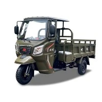250cc 300cc 350cc Gażolina Petrol Motorizzat Furgon Tricar