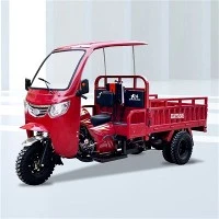 300cc Trike 3 Wheel Scooter Cargo Loader Rickshaw